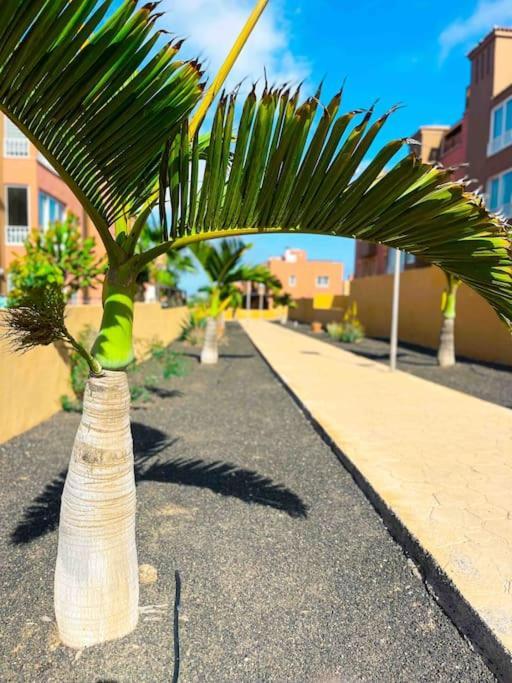 Apartamento Casa Bamboo Corralejo, Espacioso, Piscina Y Parking Dış mekan fotoğraf
