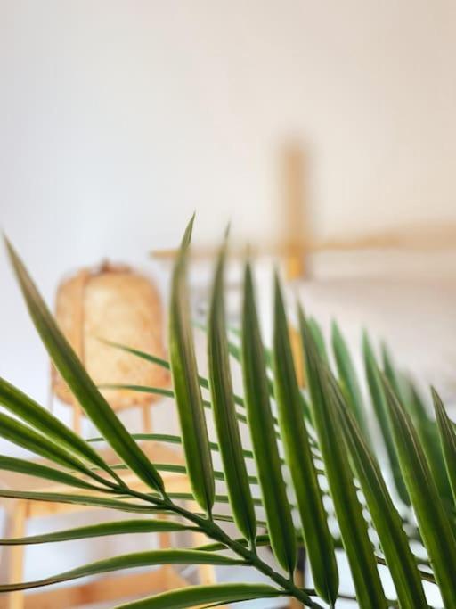Apartamento Casa Bamboo Corralejo, Espacioso, Piscina Y Parking Dış mekan fotoğraf