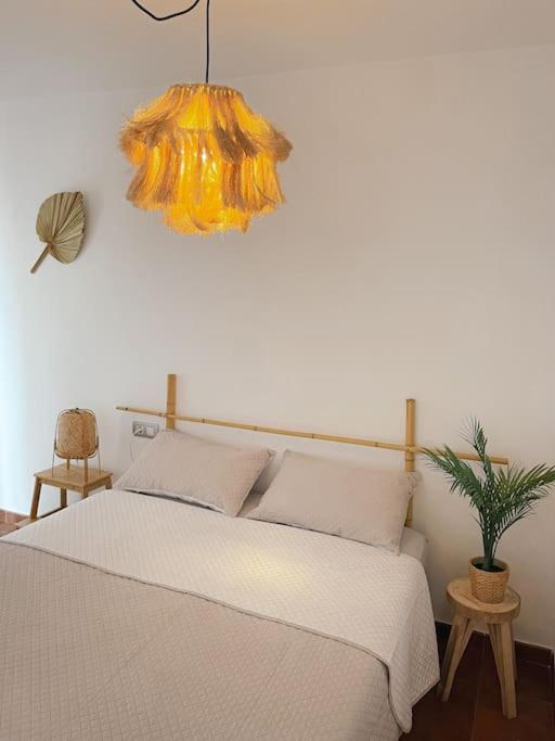 Apartamento Casa Bamboo Corralejo, Espacioso, Piscina Y Parking Dış mekan fotoğraf
