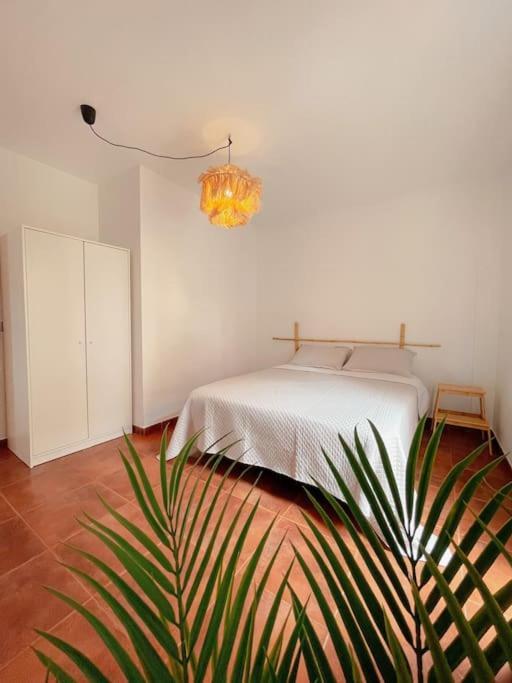Apartamento Casa Bamboo Corralejo, Espacioso, Piscina Y Parking Dış mekan fotoğraf
