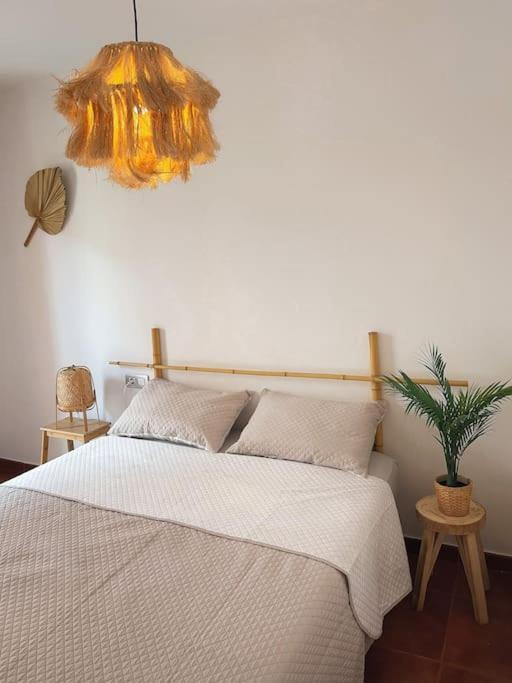 Apartamento Casa Bamboo Corralejo, Espacioso, Piscina Y Parking Dış mekan fotoğraf