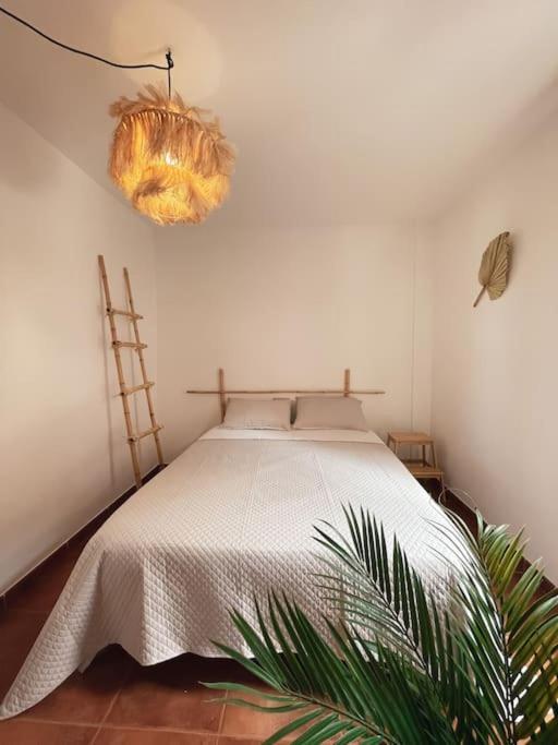 Apartamento Casa Bamboo Corralejo, Espacioso, Piscina Y Parking Dış mekan fotoğraf