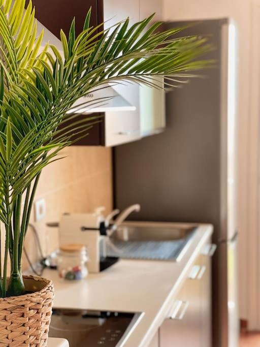 Apartamento Casa Bamboo Corralejo, Espacioso, Piscina Y Parking Dış mekan fotoğraf